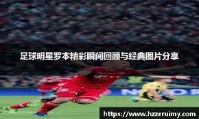 述的符号资